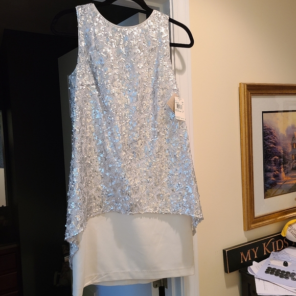 Beautiful Dress New! - Picture 3 of 11